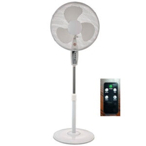 Remote EU Standard Floor fan